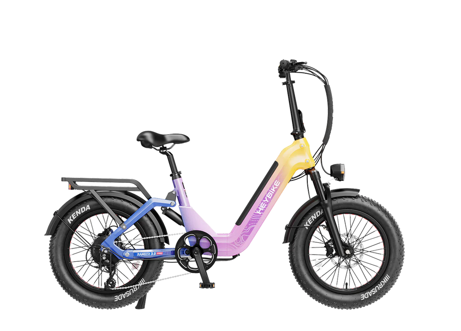 Ranger 3.0 Pro Limited