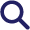Search Icon